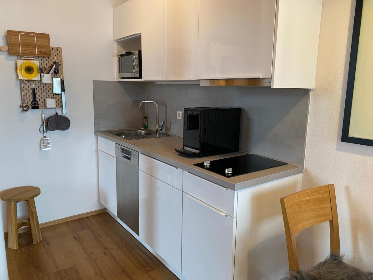 Ferienwohnung Freiberg オーベルストドルフ エクステリア 写真